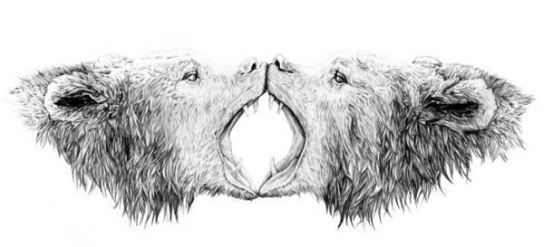 Pencil drawings by Amy Dover