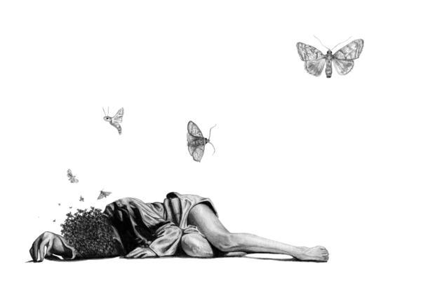 Pencil drawings by Amy Dover