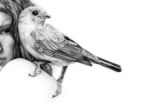 Pencil drawings by Amy Dover
