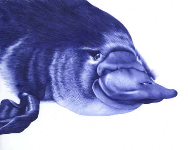 Illustrations by Abadidabou Sarah Esteje