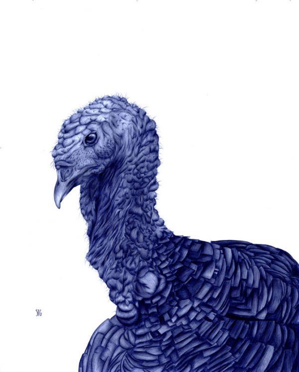 Illustrations by Abadidabou Sarah Esteje