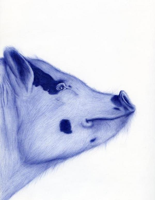 Illustrations by Abadidabou Sarah Esteje