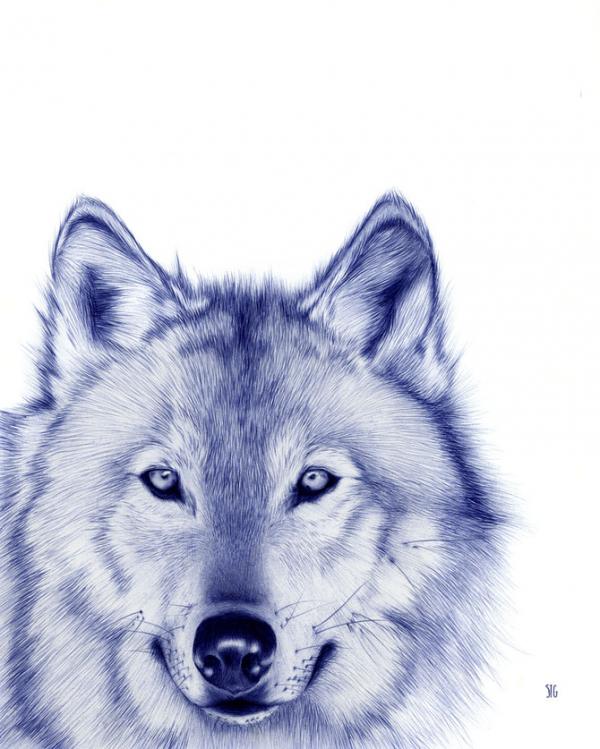 Illustrations by Abadidabou Sarah Esteje