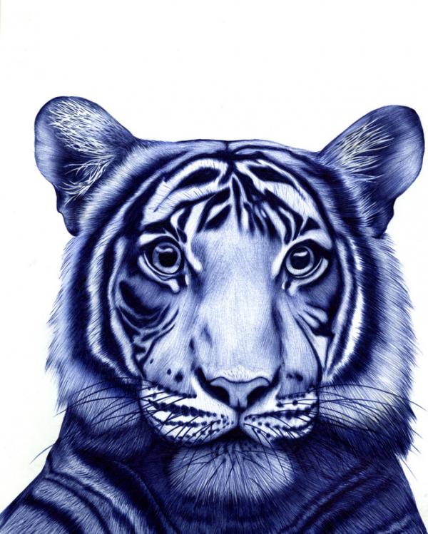 Illustrations by Abadidabou Sarah Esteje