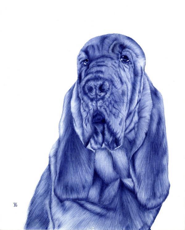 Illustrations by Abadidabou Sarah Esteje