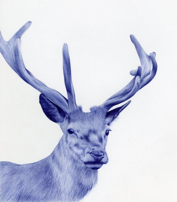 Illustrations by Abadidabou Sarah Esteje