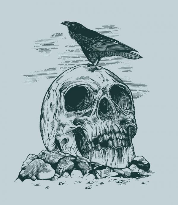 Illustrations by Rachel Caldwell