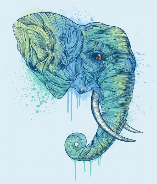 Illustrations by Rachel Caldwell