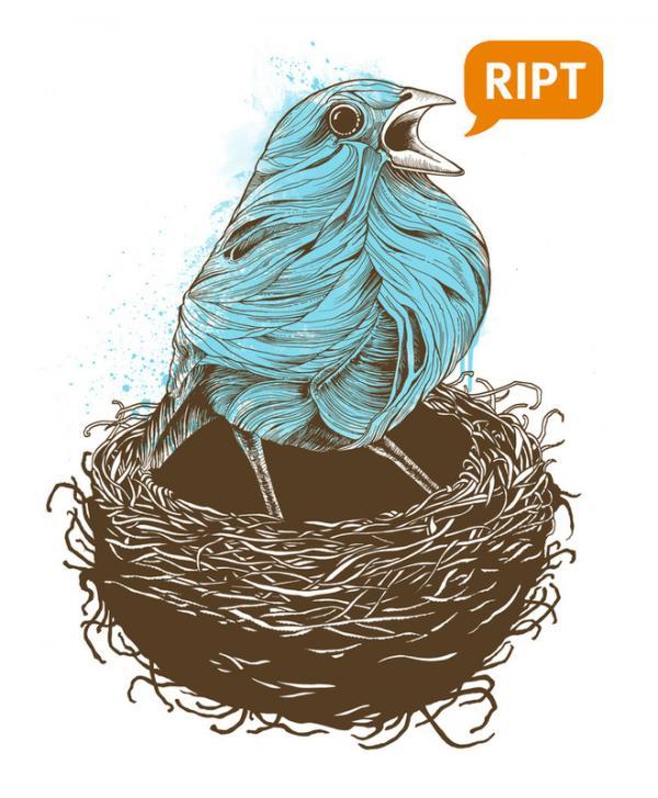 Illustrations by Rachel Caldwell