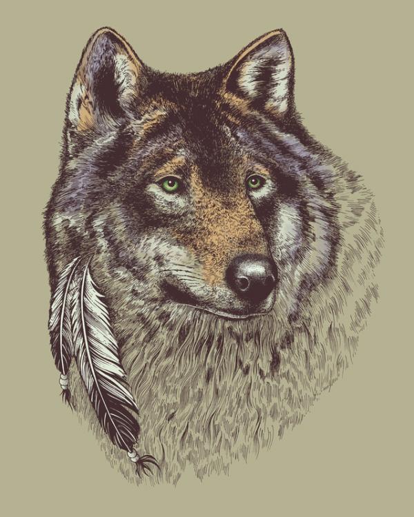 Illustrations by Rachel Caldwell