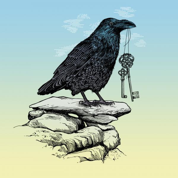 Illustrations by Rachel Caldwell