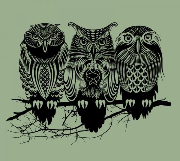 Illustrations by Rachel Caldwell