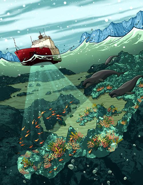 Illustrations by Yuta Onoda