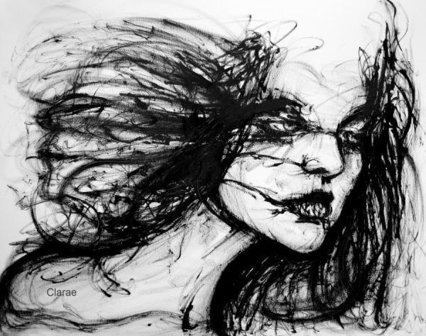 Illustrations by Clare Aime