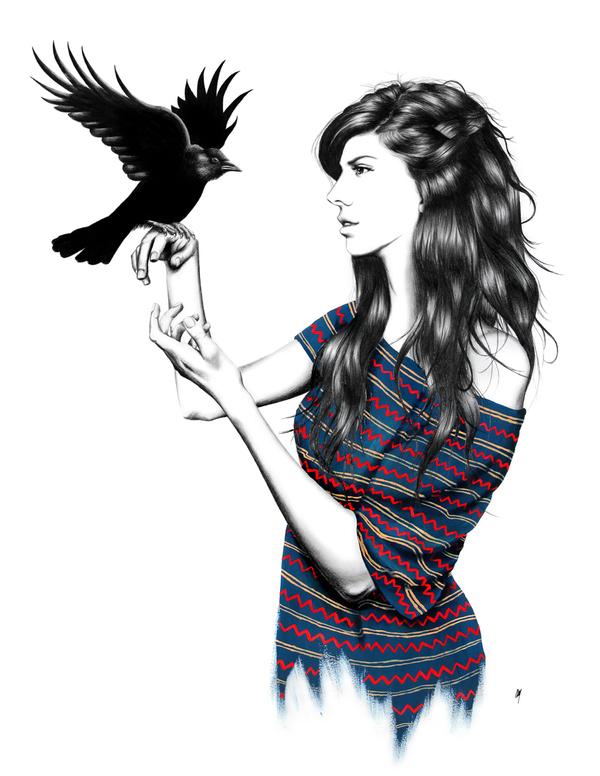 Illustrations by Amanda Mocci
