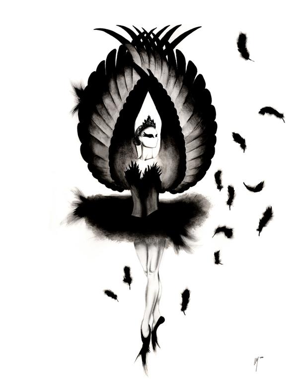 Illustrations by Amanda Mocci