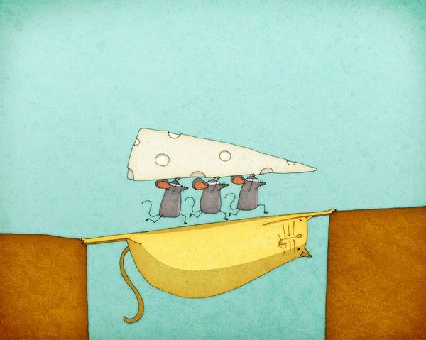 Illustrations by Jesse Kuhn