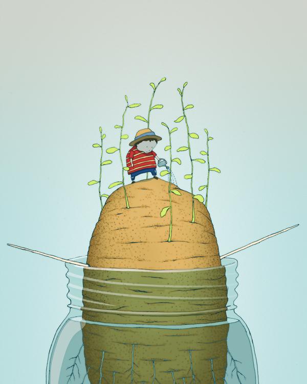 Illustrations by Jesse Kuhn