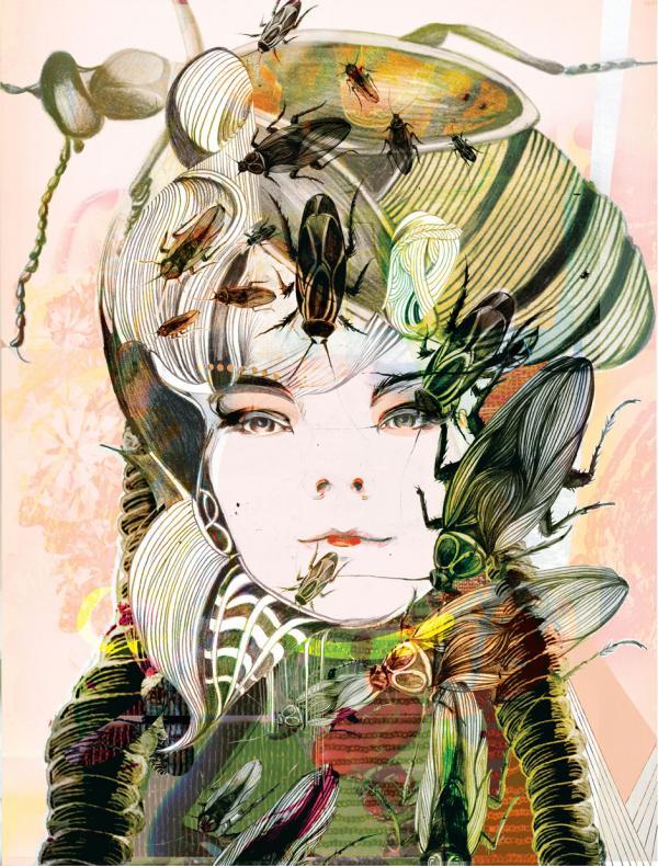 Illustrations by Felicia Atanasiu
