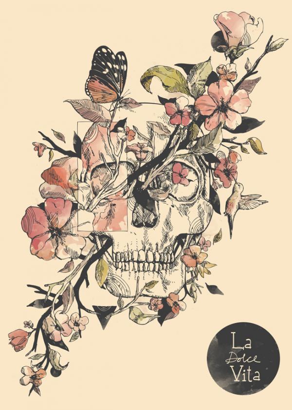 Illustrations by Norman Duenas