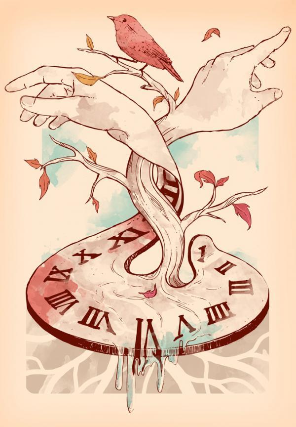 Illustrations by Norman Duenas