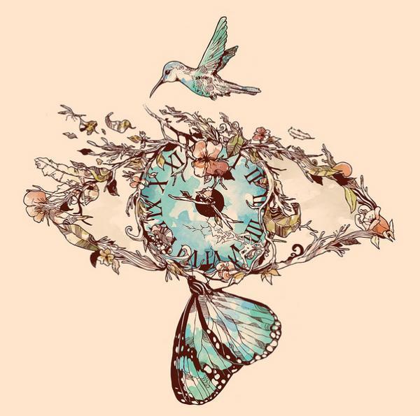 Illustrations by Norman Duenas