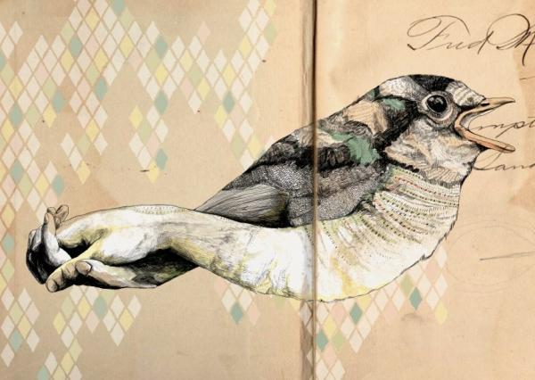 Illustrations by Gabriella Barouch
