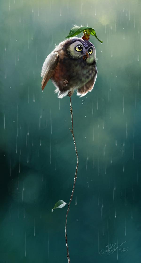 Illustrations by Therese Larsson