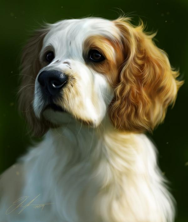 Illustrations by Therese Larsson