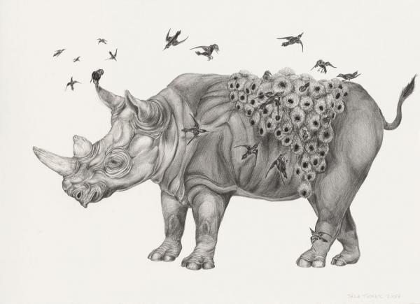 Animal Illustrations by Tara Tucker