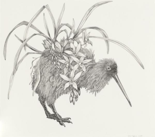 Animal Illustrations by Tara Tucker