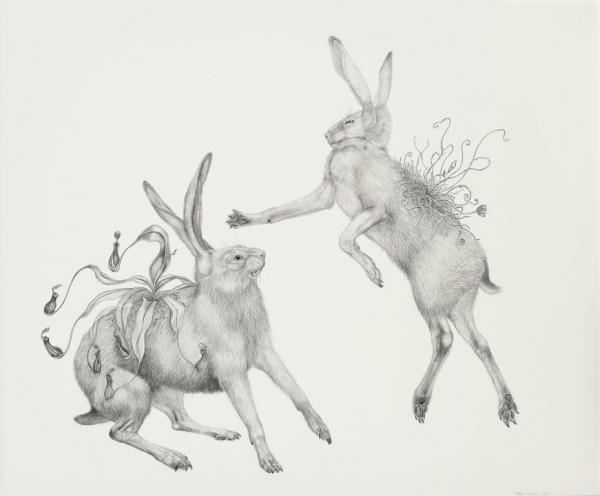 Animal Illustrations by Tara Tucker
