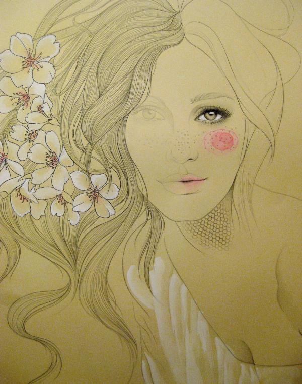 Illustrations by Mercedes deBellard