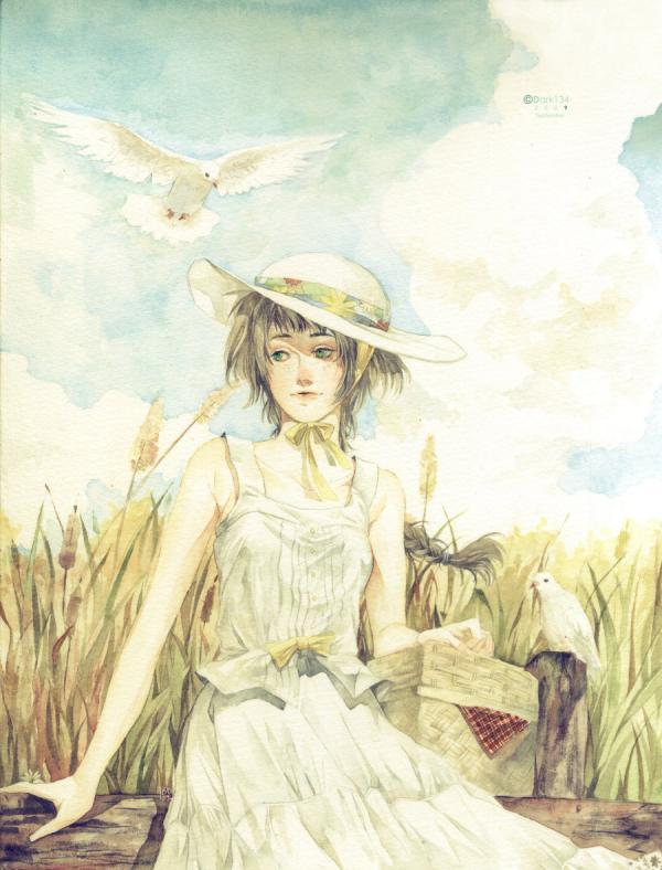 Illustrations by Dark134