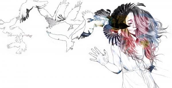 Illustrations by Lucy Evans