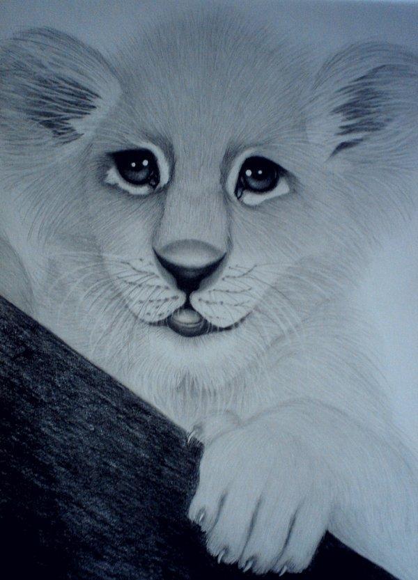 Animal Portrait Illustrations by sinsenor