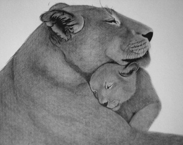 Animal Portrait Illustrations by sinsenor