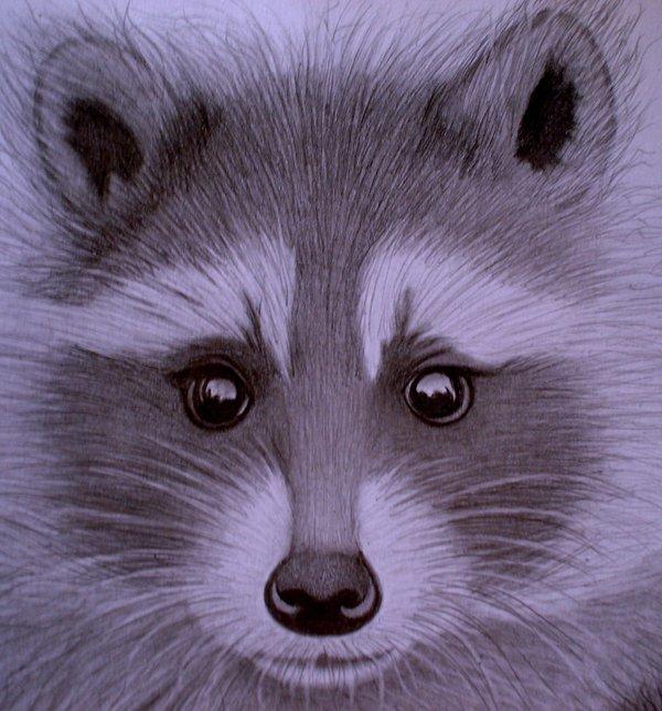 Animal Portrait Illustrations by sinsenor