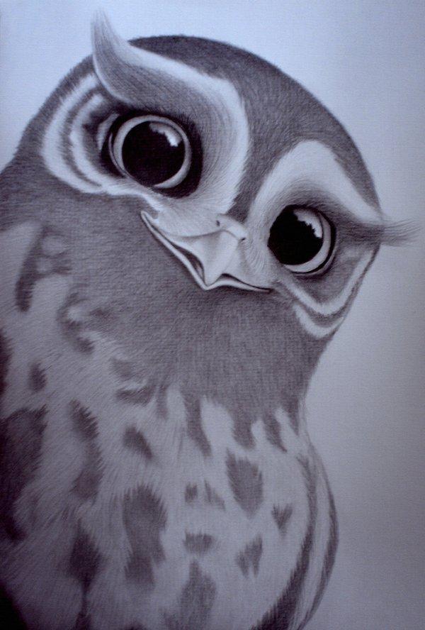 Animal Portrait Illustrations by sinsenor