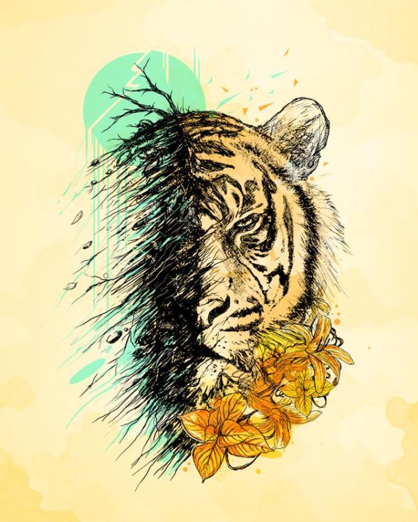 Illustrations by Nicebleed