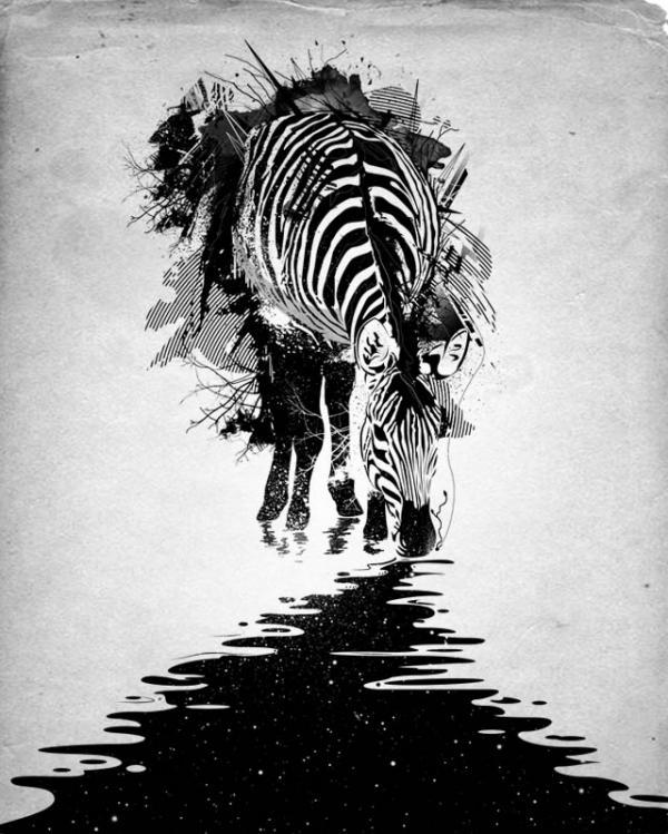 Illustrations by Nicebleed