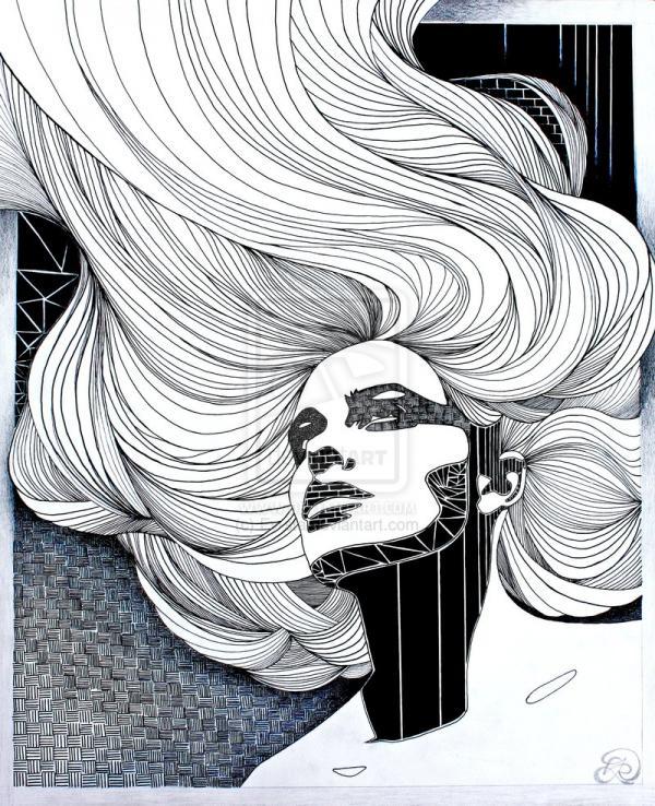 Illustrations by Evan Rosato