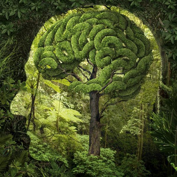 Surreal Illustrations by Igor Morski