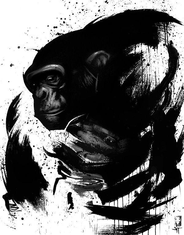 Illustrations by SIT
