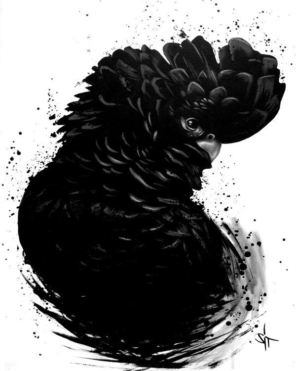Illustrations by SIT