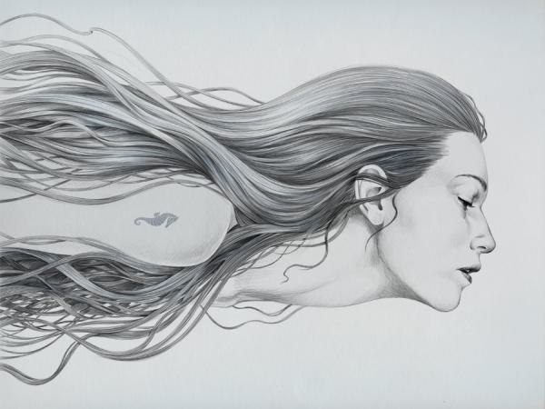 Illustrations by Diego Fernandez