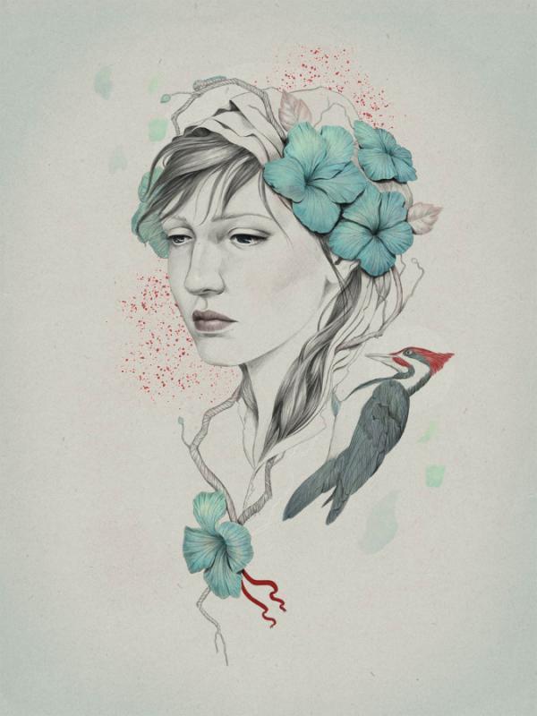 Illustrations by Diego Fernandez
