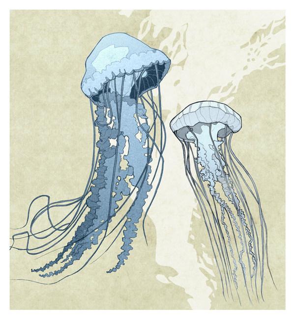 Illustrations by Colwyn Thomas