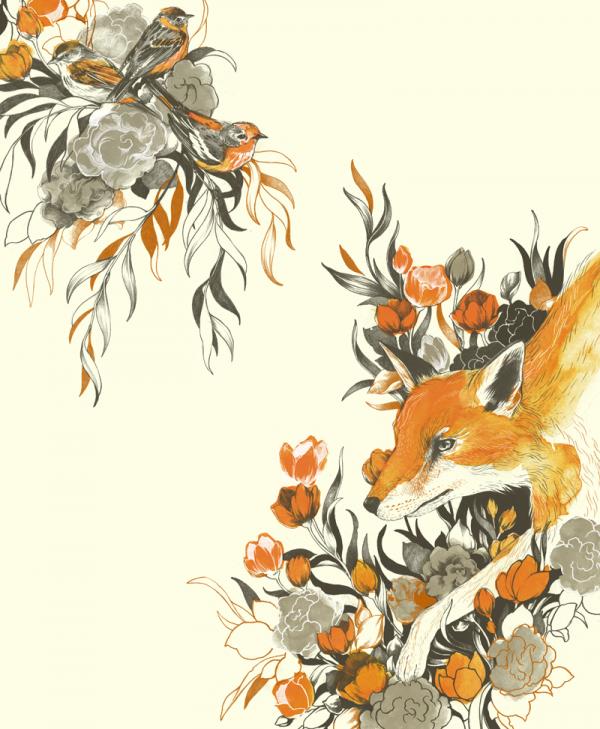 Illustrations by Teagan White