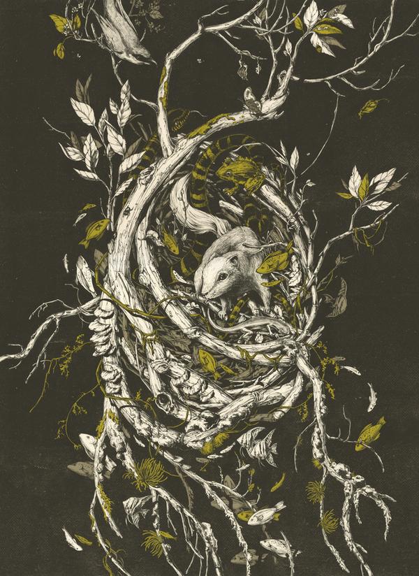 Illustrations by Teagan White
